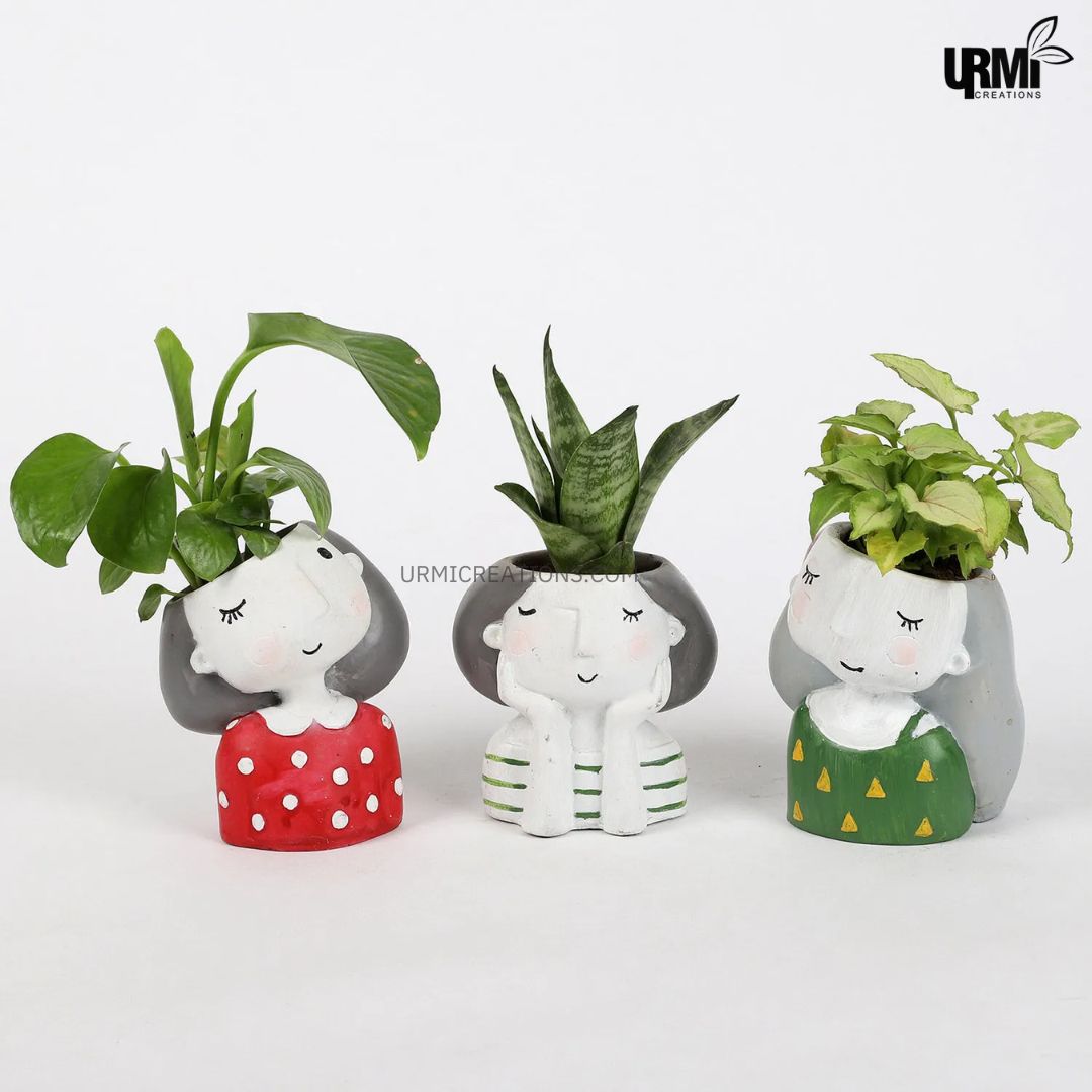 Set Of 3 Green Plants In Cute Girl Pots