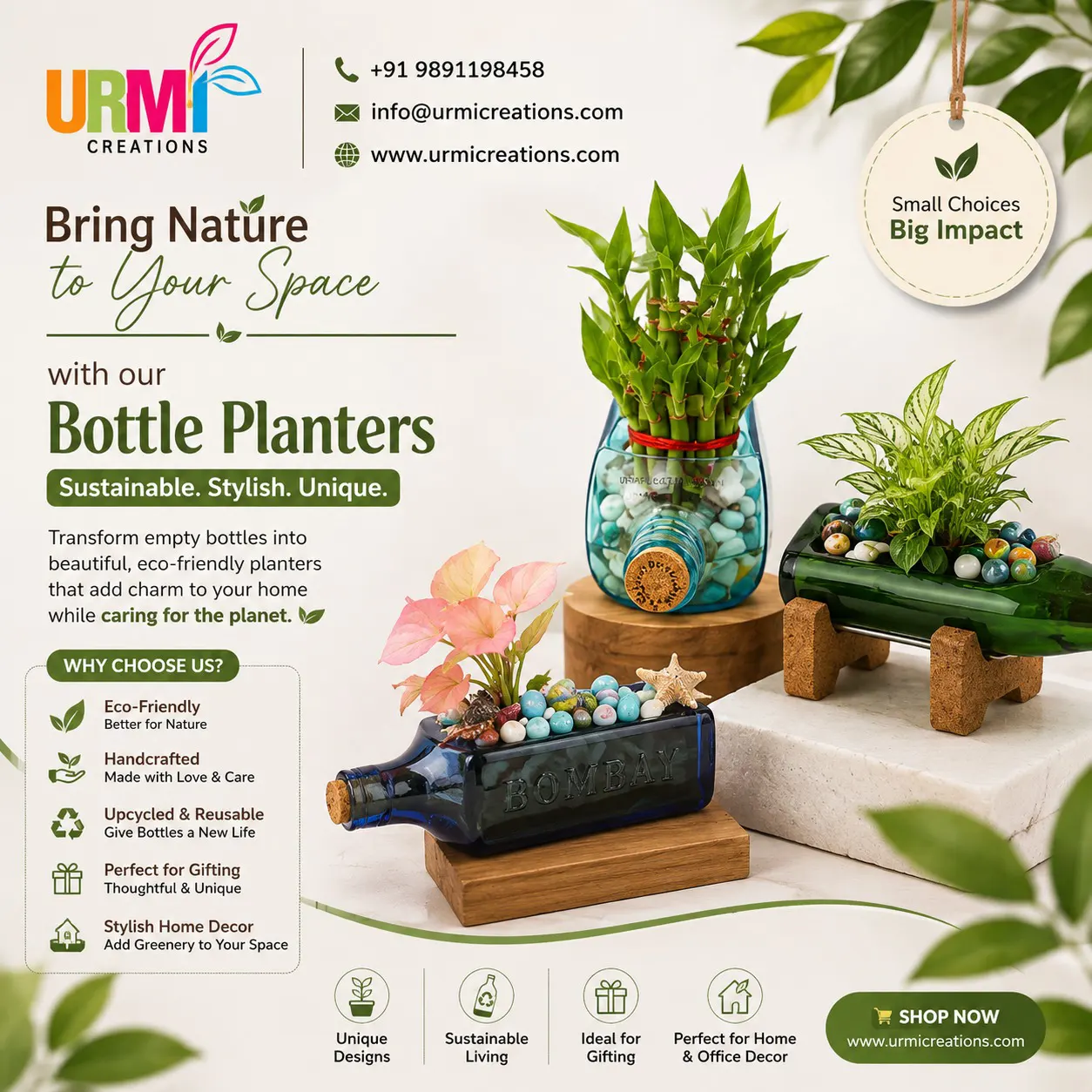 Bombay Sapphire Bottle Planter: Turning an Empty Bottle Into a Green Centrepiece