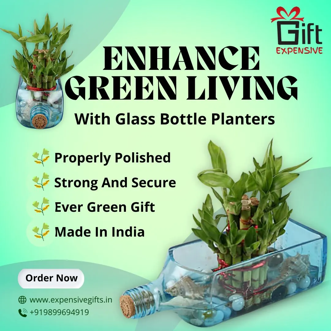 Enhance Green Living with Glass Bottle Planters