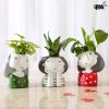 Set Of 3 Green Plants In Cute Girl Pots